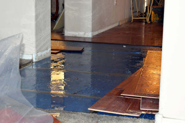 Professional Emergency Water Damage Restoration technician working in West Millgrove, OH